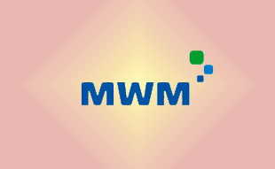 ✓ MWM 3900067290 Фильтр деарации картера 